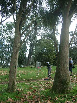 Disc Golf New Zealand